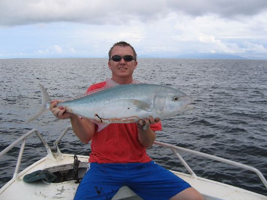 Bludger Trevally - Cairns